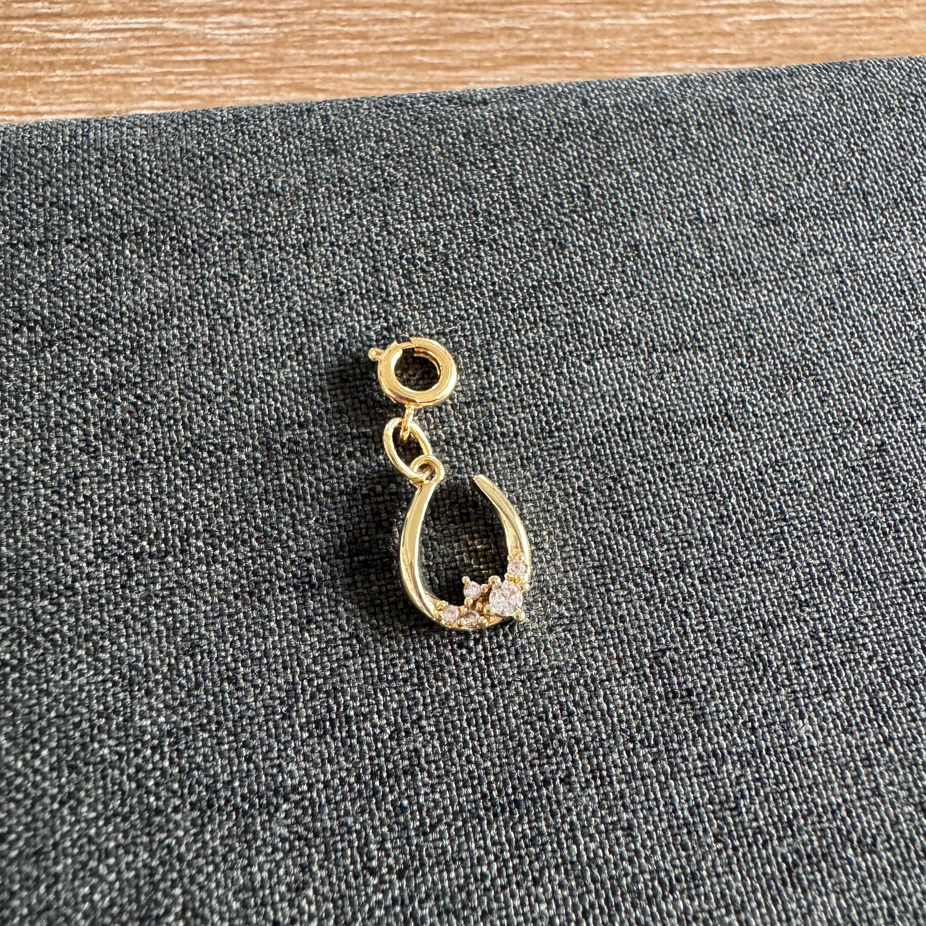Hudson Horseshoe Charm with clasp