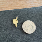 Pickleball Charm
