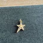 Sophia Star Charm