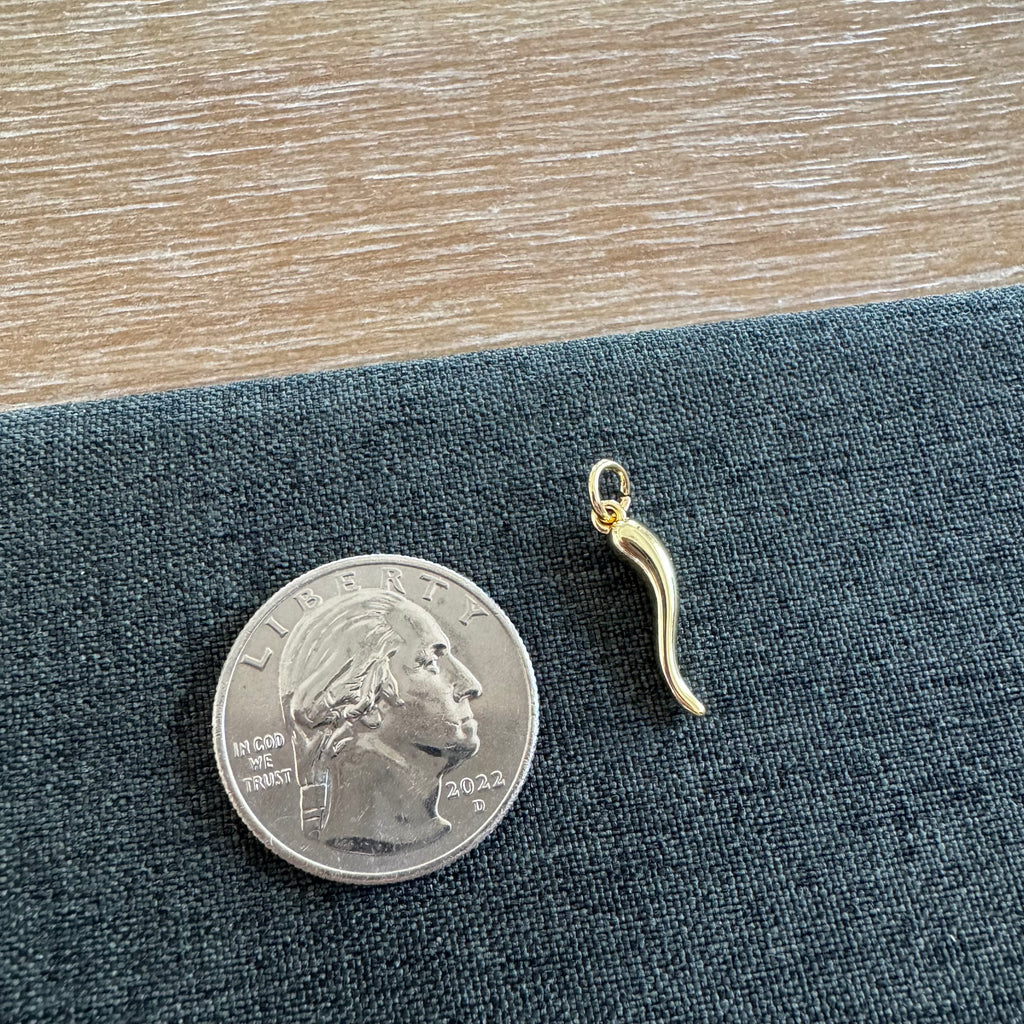 Horn Charm