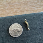 Horn Charm