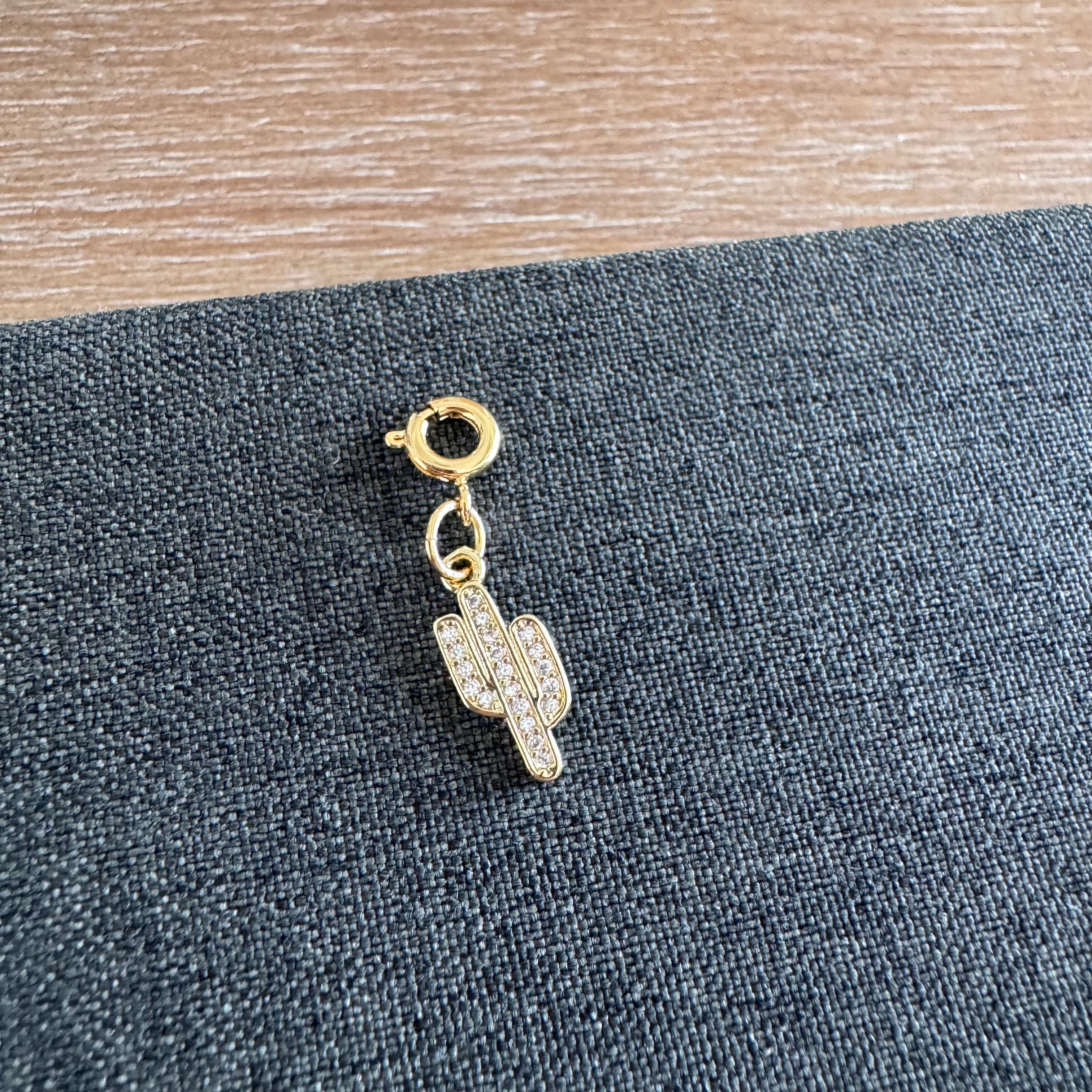 Campbell Catcus Charm with clasp