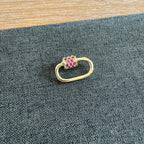 Small Carabiner Plum