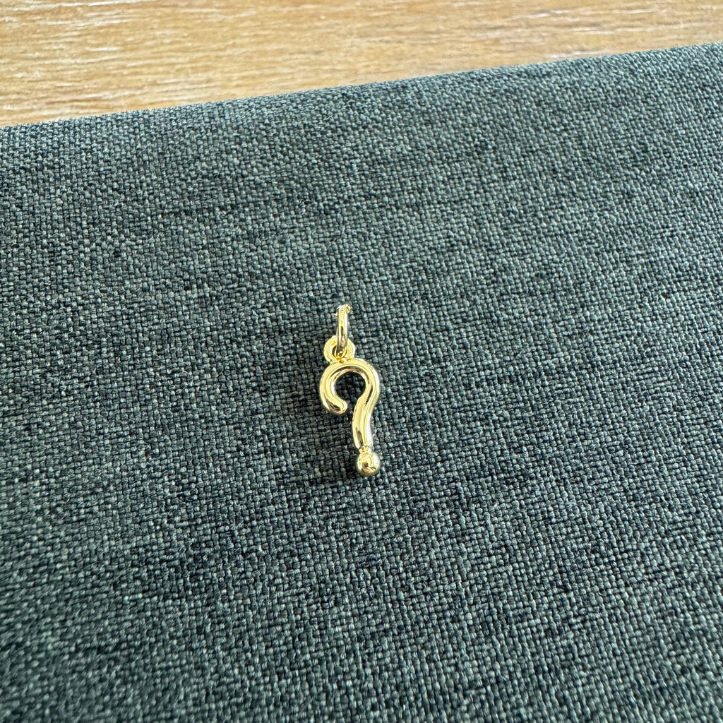 Meg Question Mark Charm