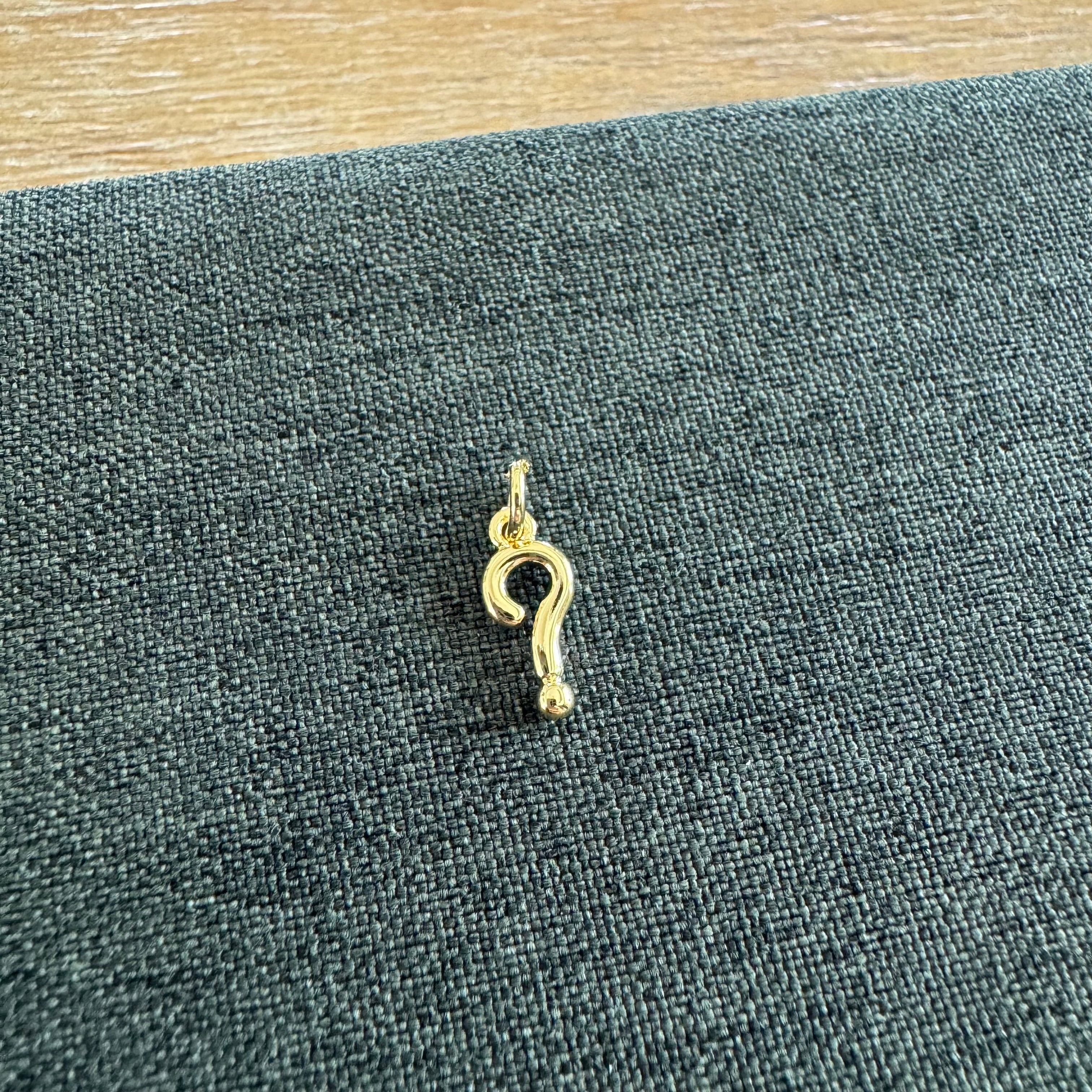 Meg Question Mark Charm