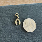 Hunter Horseshoe Charm with clasp