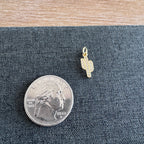Campbell Catcus Charm