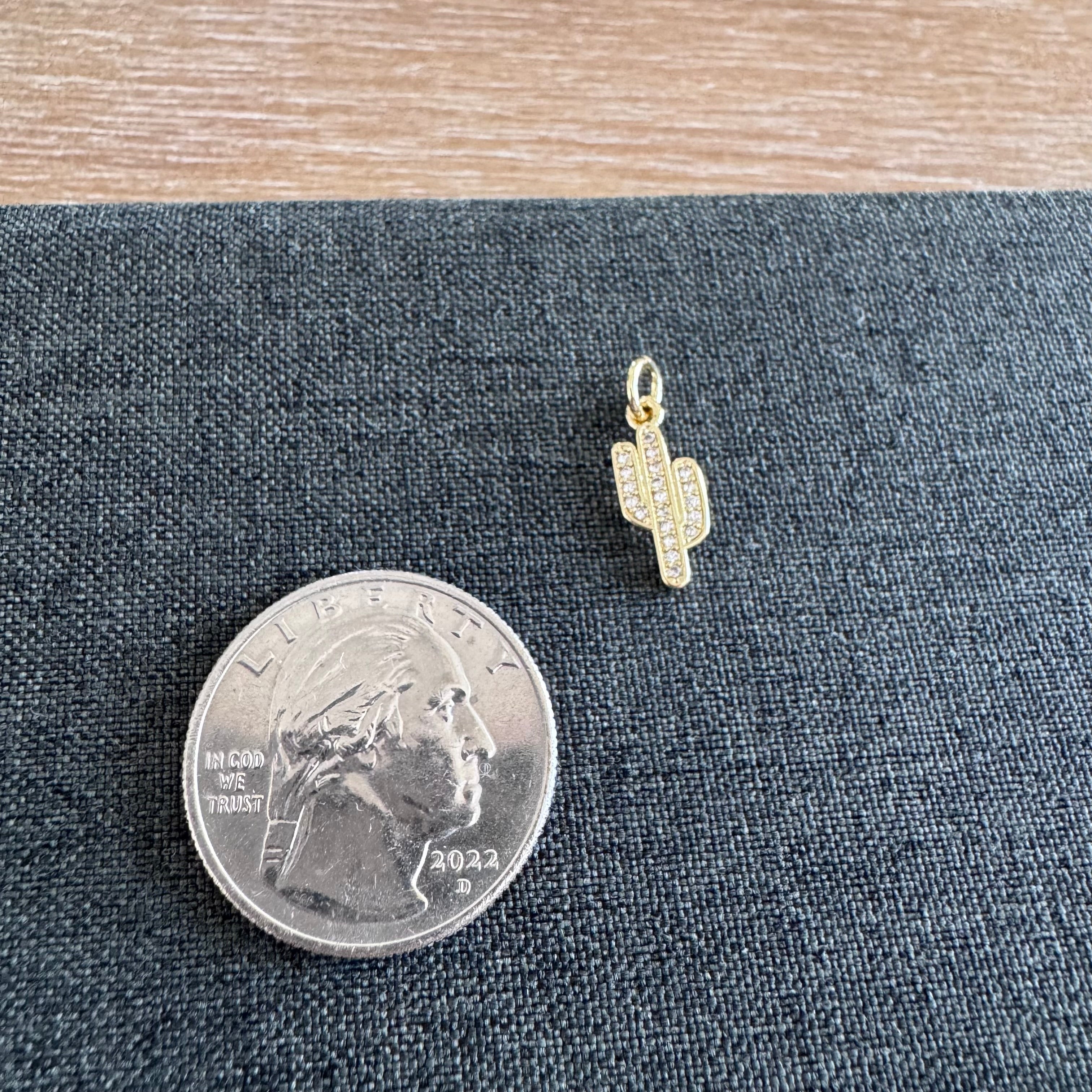 Campbell Catcus Charm