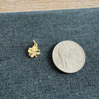 Four Leaf Clover Charm