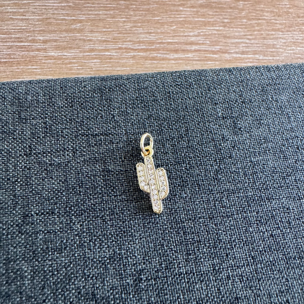 Campbell Catcus Charm