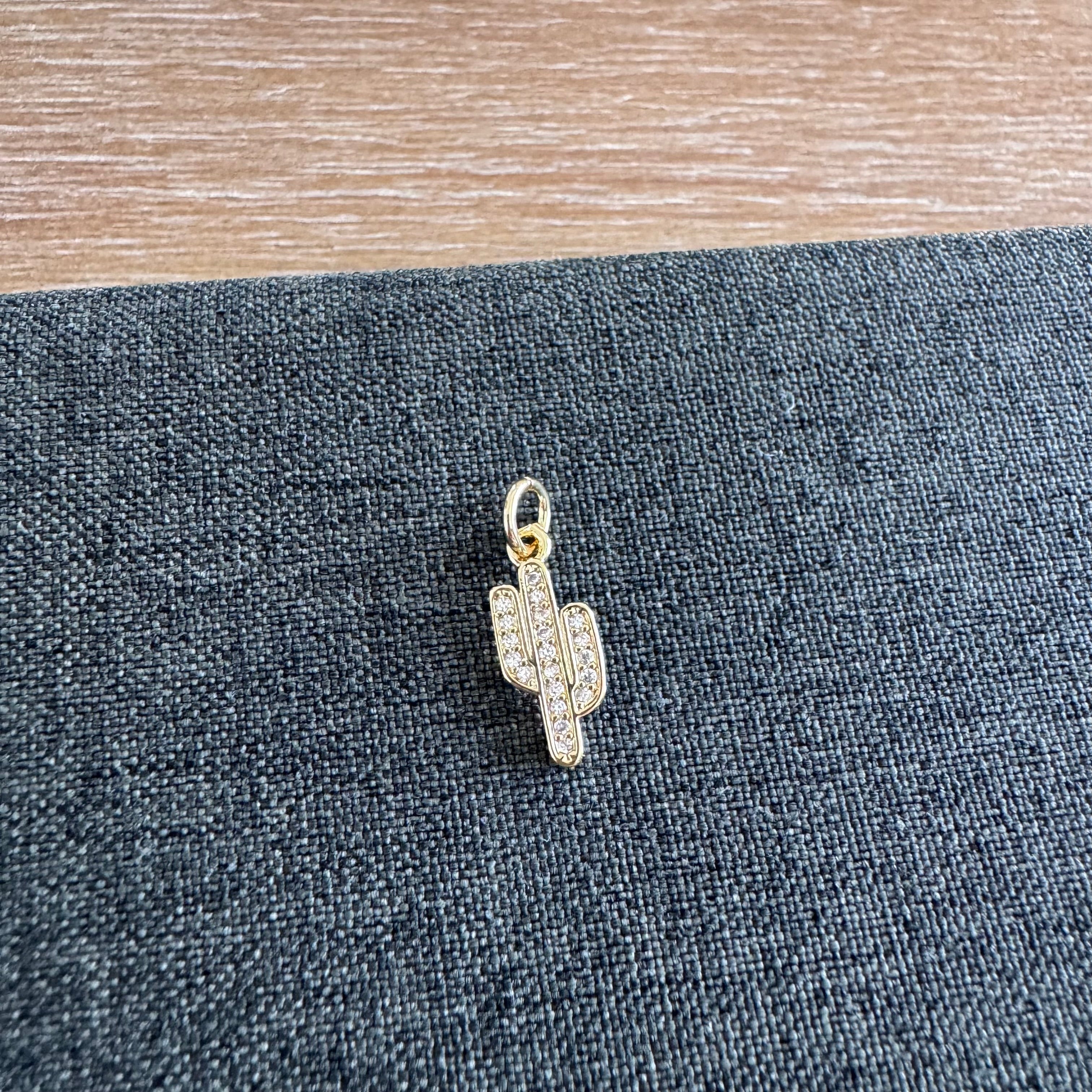 Campbell Catcus Charm